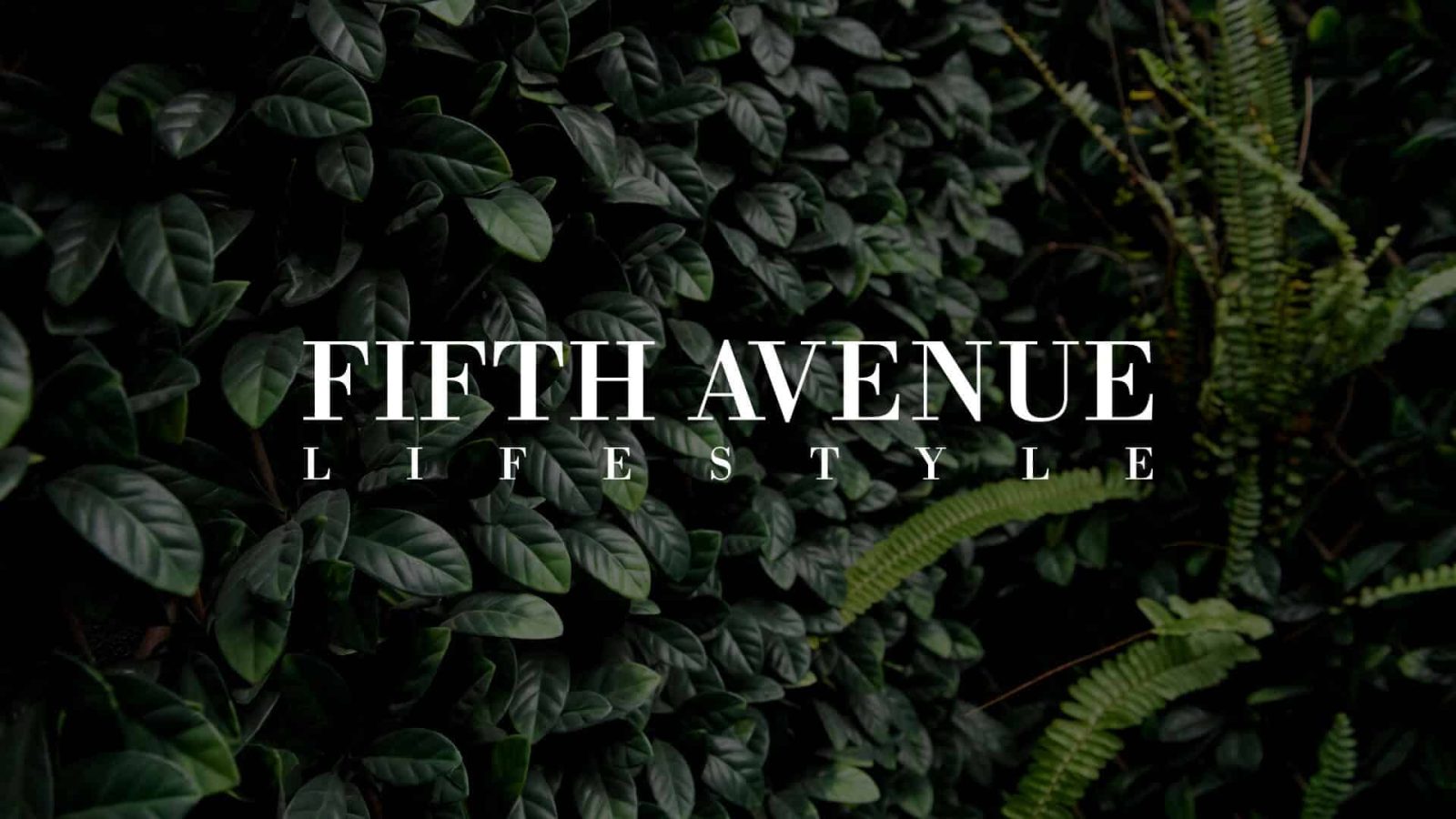 Fifth Avenue Lifestyle - Property Brand and digital marketing